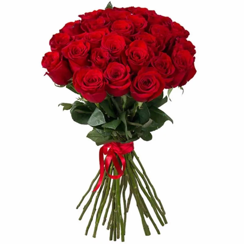 Букет из 25 красных роз под ленту, доставка Янино